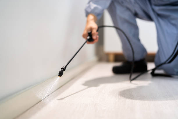 Professional exterminator conducting IPM assessment in Arthurtown